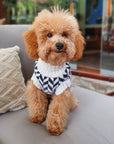 Alqo Wasi - Herringbone Alpaca Dog Sweater - Henlo Pets