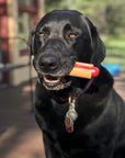 SodaPup - Nylon Hotdog Chew Toy - Henlo Pets