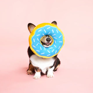 Zippy Paws - Jumbo Donutz - Henlo Pets