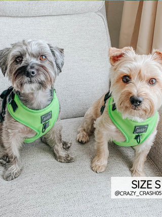 Sassy Woof Adjustable Harness - Neon Green - Henlo Pets