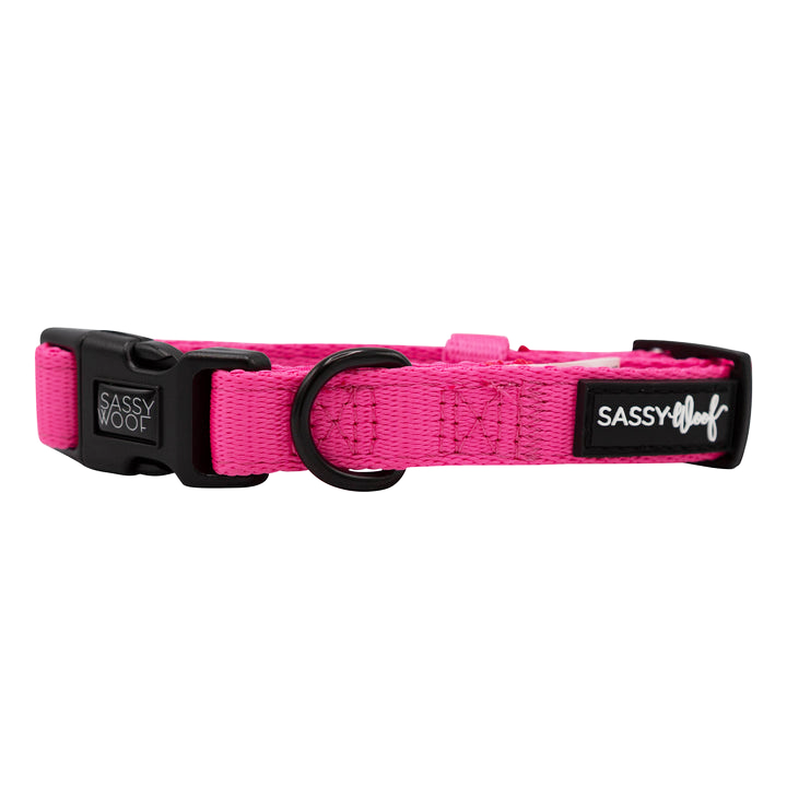 Sassy Woof Collar - Neon Pink - Henlo Pets