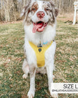 Sassy Woof Adjustable Harness - Neon Yellow - Henlo Pets