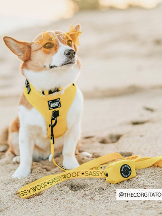 Sassy Woof Waste Bag Holder - Neon Yellow - Henlo Pets