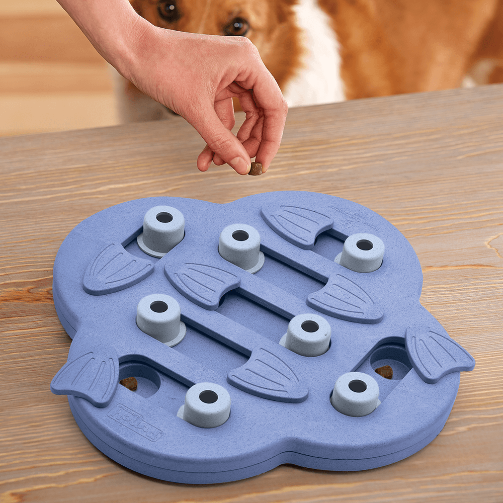 Nina Ottosson Dog Hide N Slide Purple Henlo Pets