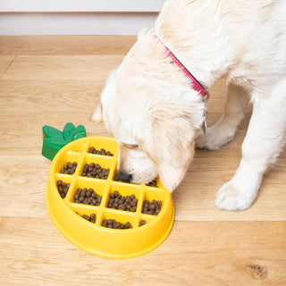 Zippy Paws Happy Bowl - Pineapple - Henlo Pets