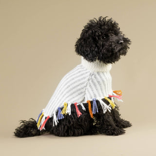 Alqo Wasi - Rainbow Fringe Alpaca Dog Poncho - Henlo Pets