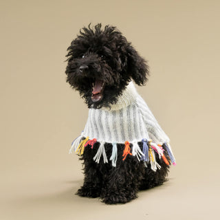 Alqo Wasi - Rainbow Fringe Alpaca Dog Poncho - Henlo Pets