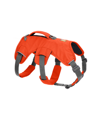 RUFFWEAR - Web Master Dog Harness Blaze Orange - Henlo Pets