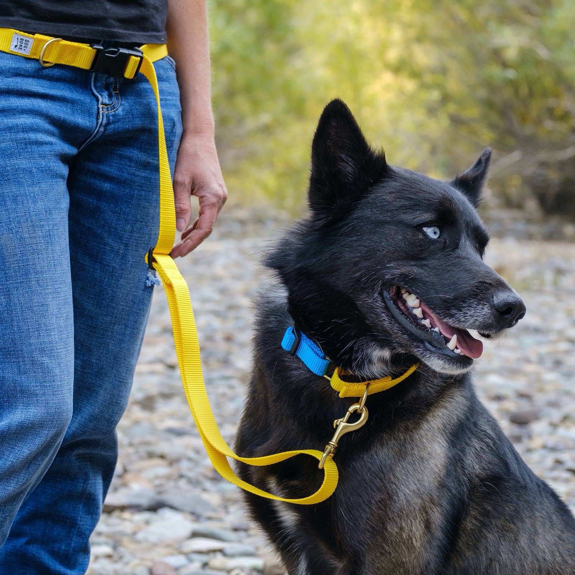 Dog + Bone Adjustable Leash - Yellow - Henlo Pets