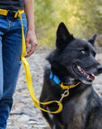 Dog + Bone Adjustable Leash - Yellow - Henlo Pets