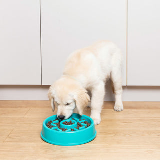 Zippy Paws Happy Bowl - Donut - Henlo Pets