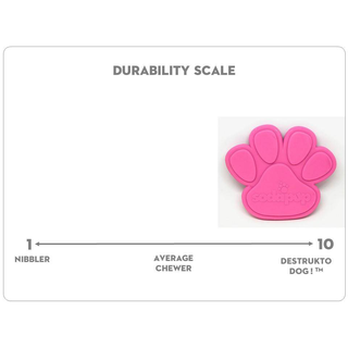 SodaPup - Nylon Paw Ultra Durable Dog Chew Toy - Henlo Pets