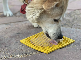 SodaPup - Honeycomb Square eMat Licking Mat Yellow - Henlo Pets