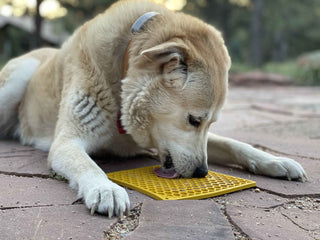 SodaPup - Honeycomb Square eMat Licking Mat Yellow - Henlo Pets