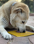 SodaPup - Honeycomb Square eMat Licking Mat Yellow - Henlo Pets