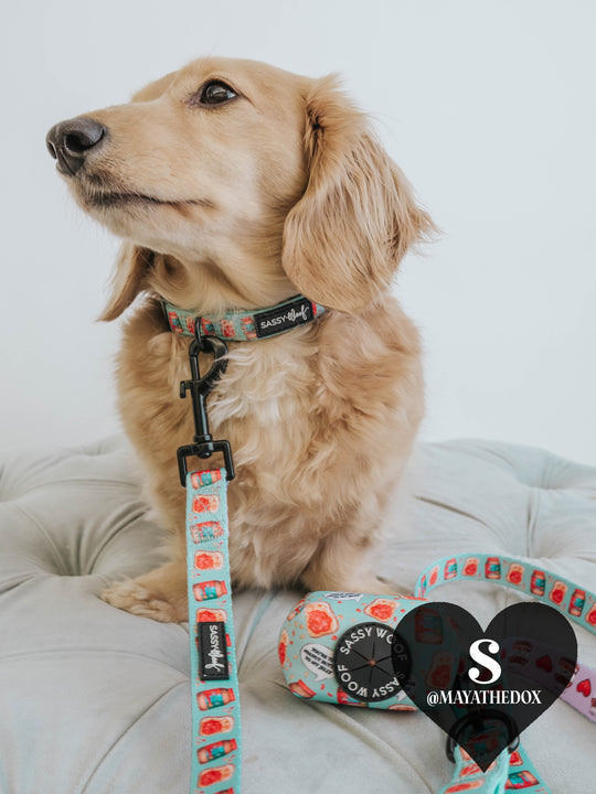 Sassy Woof Collar - Spread the Love - Henlo Pets