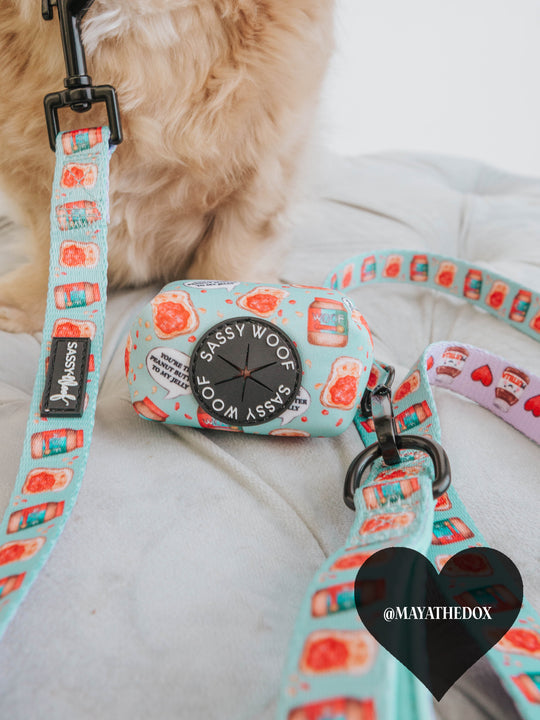 Sassy Woof Leash - Spread the Love - Henlo Pets