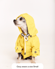 maxbone - Talon Raincoat Yellow - Henlo Pets
