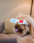 P.L.A.Y. - Hollywoof Cinema 3-Dog Glasses - Henlo Pets