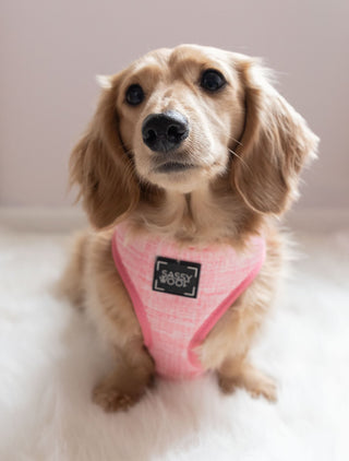 Sassy Woof Reversible Harness - Dolce Rose - Henlo Pets