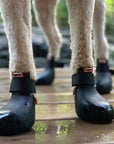 wagwear - WagWellies Boots Black - Henlo Pets