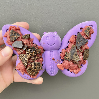 SodaPup - Nylon Butterfly Chew Toy - Henlo Pets