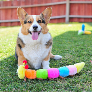 Zippy Paws - Caterpillar - Henlo Pets